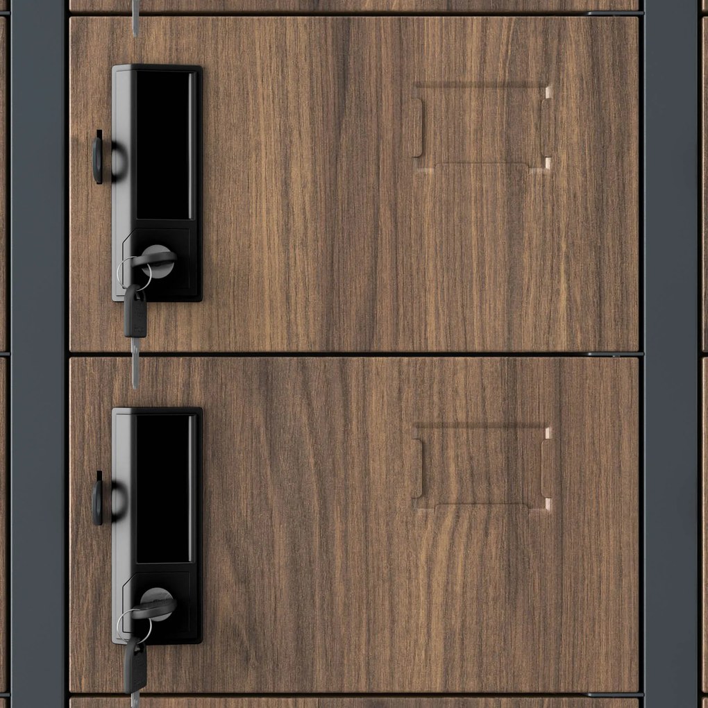 Skrinka na úschovu s 33 priehradkami, antracitová/orechová, 900x1850x450 mm: OLIVER Eco Design