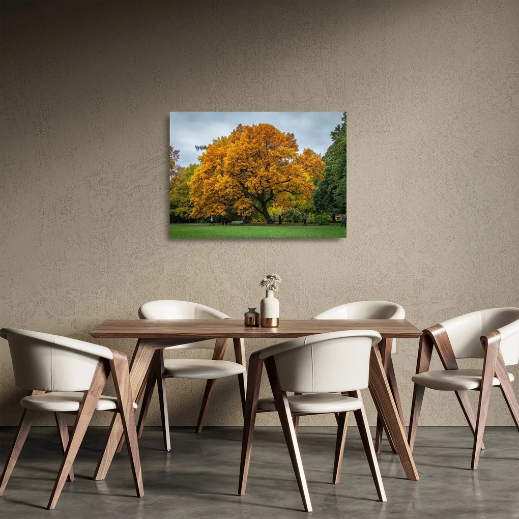 Sklenený obraz stromu (70x50 cm)