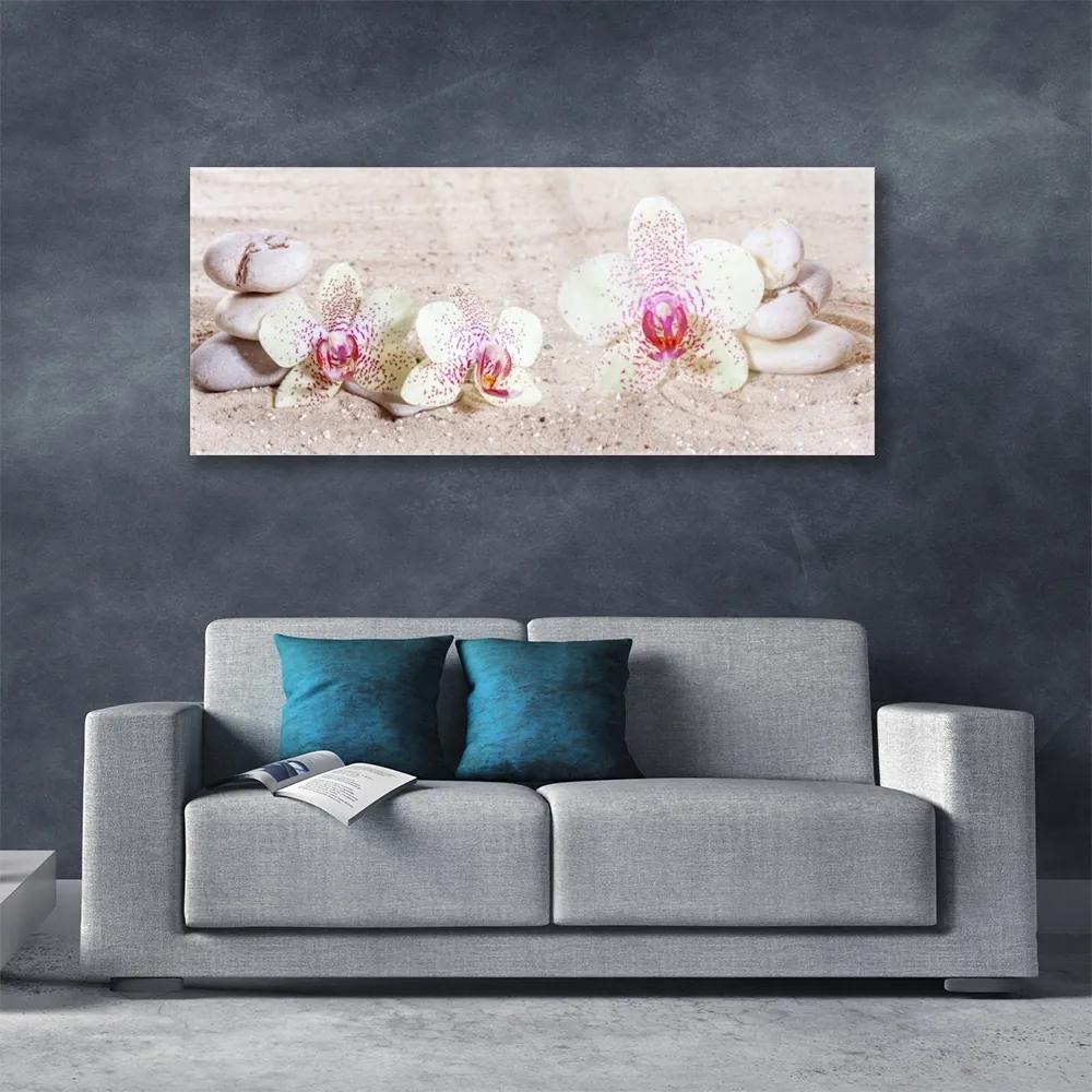 Obraz plexi Orchidea kamene zen písek 125x50 cm