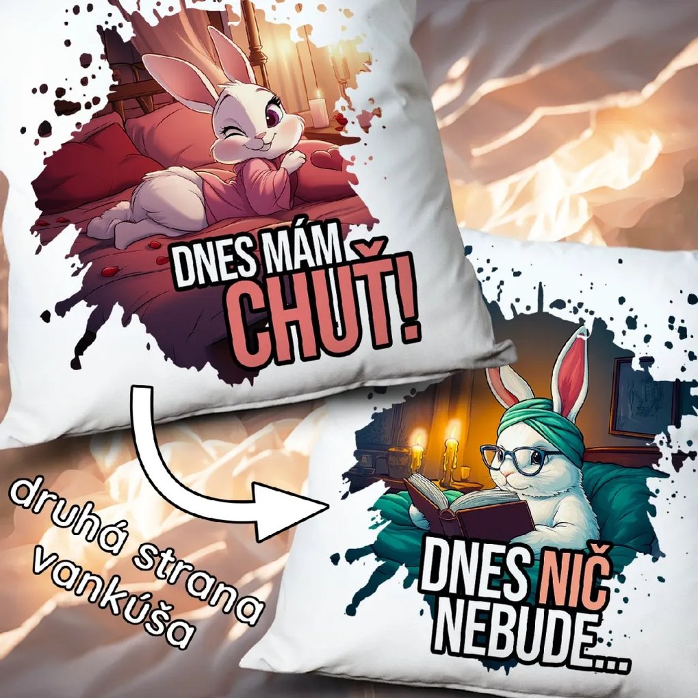 Ahome Vankúš Dnes mám chuť - Dnes nič nebude