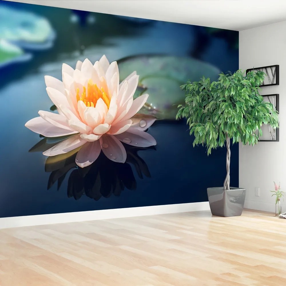 Fototapeta Vliesová Lotosový kvet rybník 104x70 cm