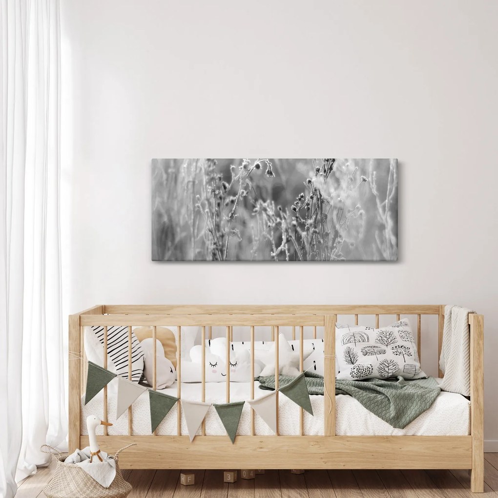 Obraz - Divoká lúka (120x50 cm)