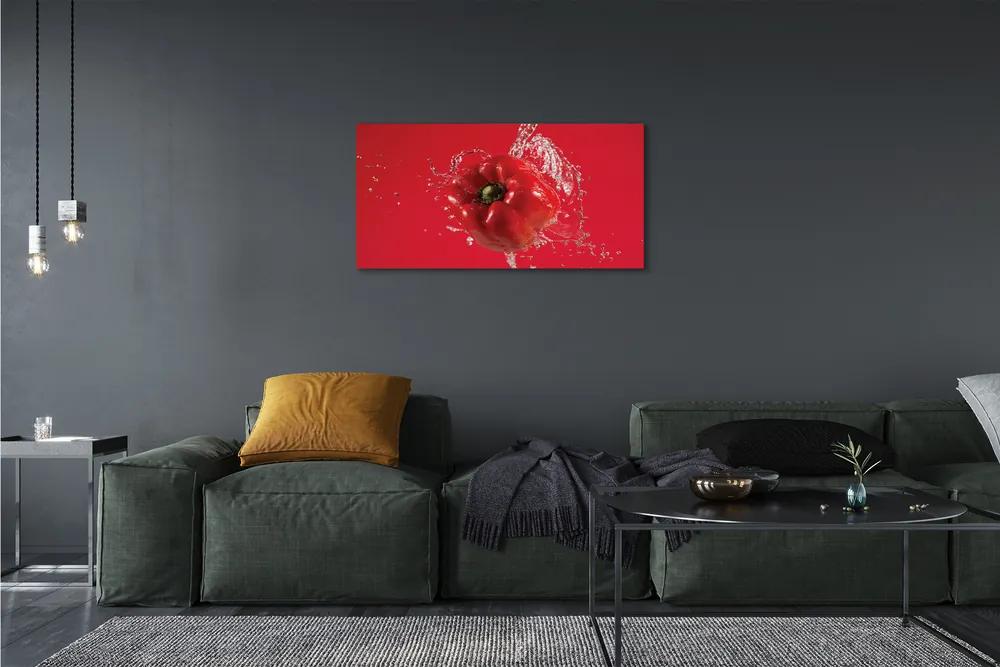 Obraz canvas korenie voda 120x60 cm