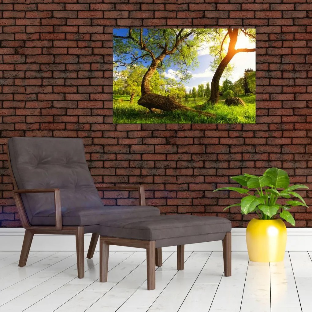 Obraz jarnej lúky (90x60 cm)
