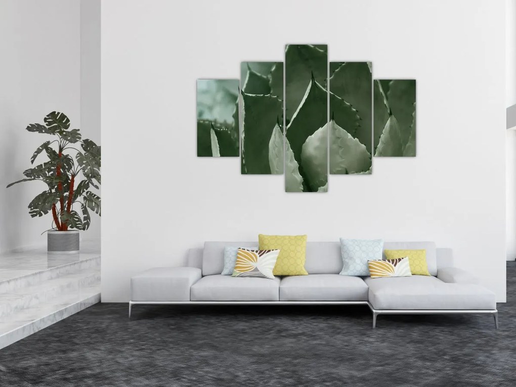 Obraz - Zelená agáve (150x105 cm)