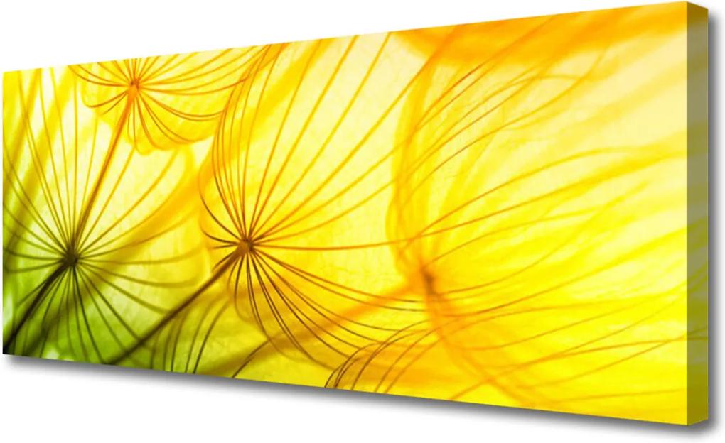 Obraz Canvas Púpavy kvety príroda
