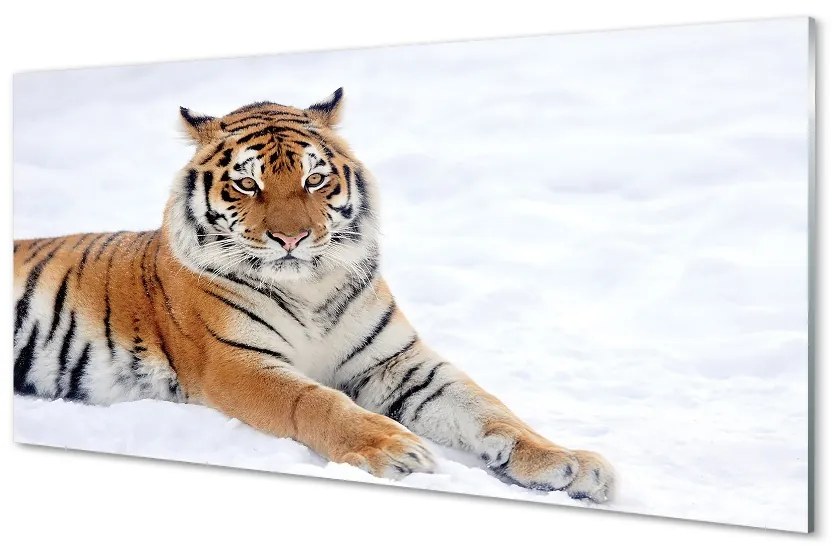 Sklenený obraz Tiger winter 100x50 cm