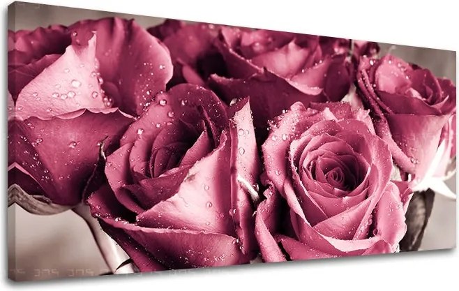 Obraz na stenu Panoráma KVETY XOBKV139E13 - 30x60 cm