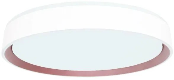 LED Stmievateľné stropné svietidlo s hlasovým ovládaním OPAL LED/48W/230V + DO