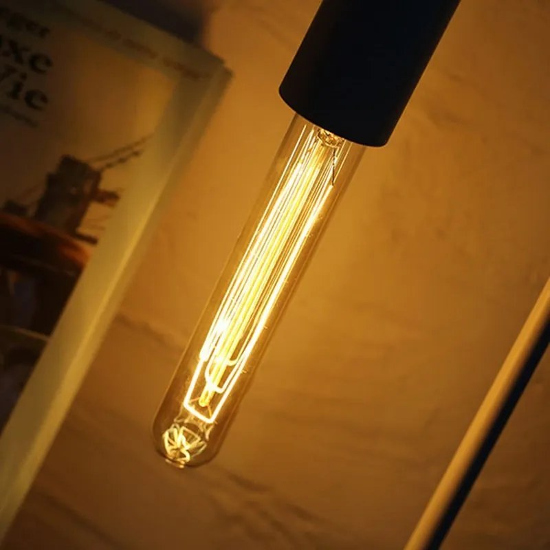 TRIXLINE EDISON Retro Carbon Filament žiarovka T30 E27 40W, 19 cm