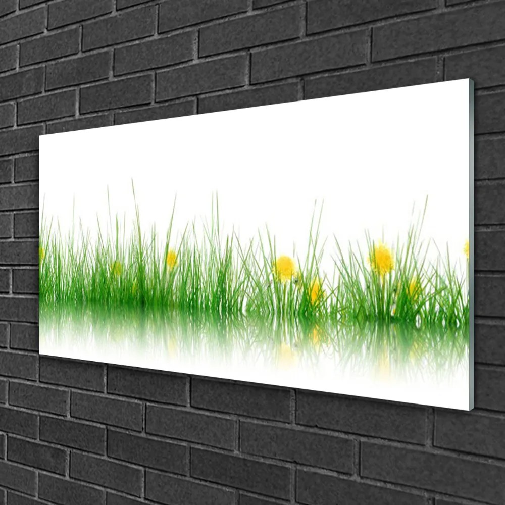 Skleneny obraz Príroda tráva kvety 125x50 cm