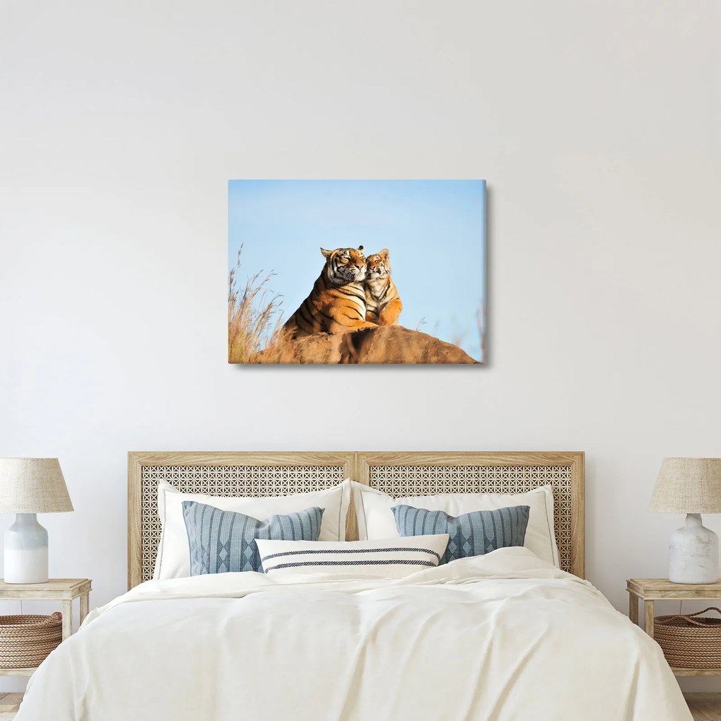Obraz - Tigrice a jej mláďa (70x50 cm)