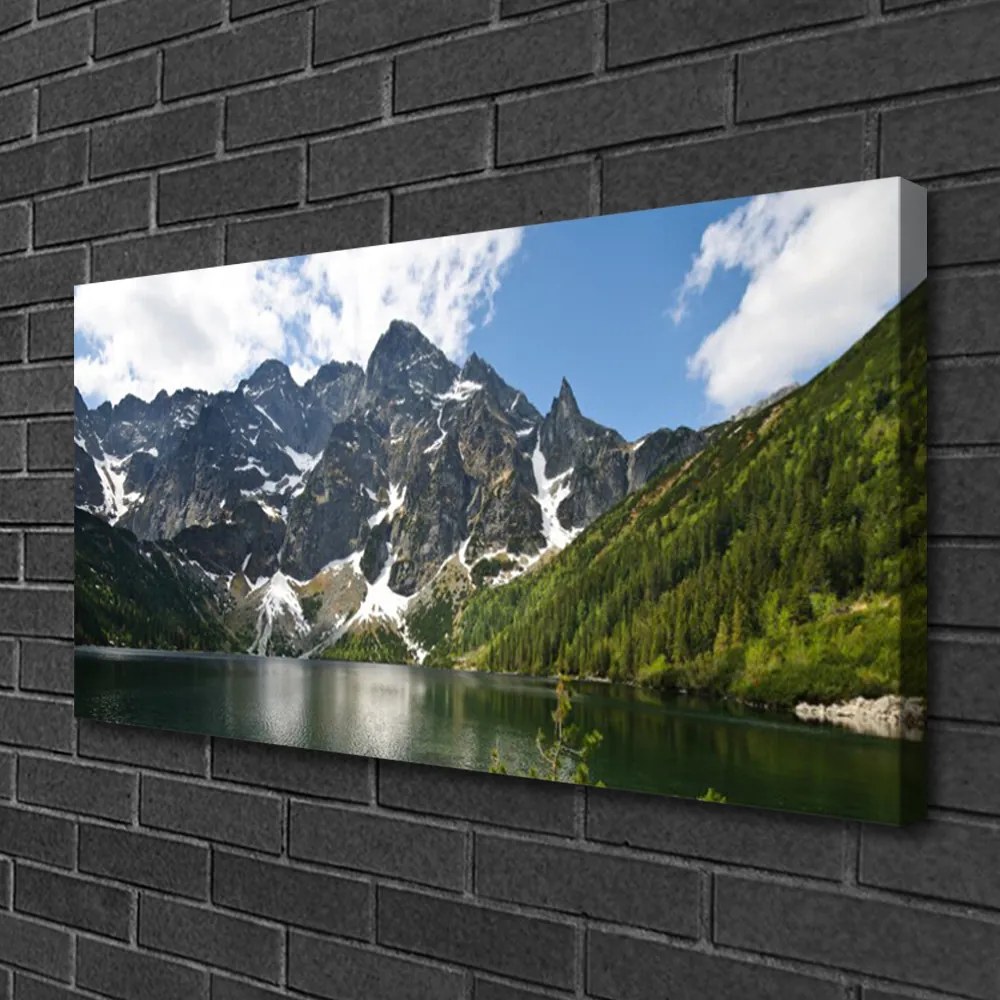 Obraz na plátne Hora jazero les príroda 140x70 cm