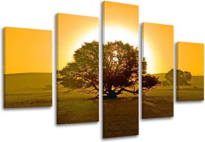 Obraz na stenu STROMY