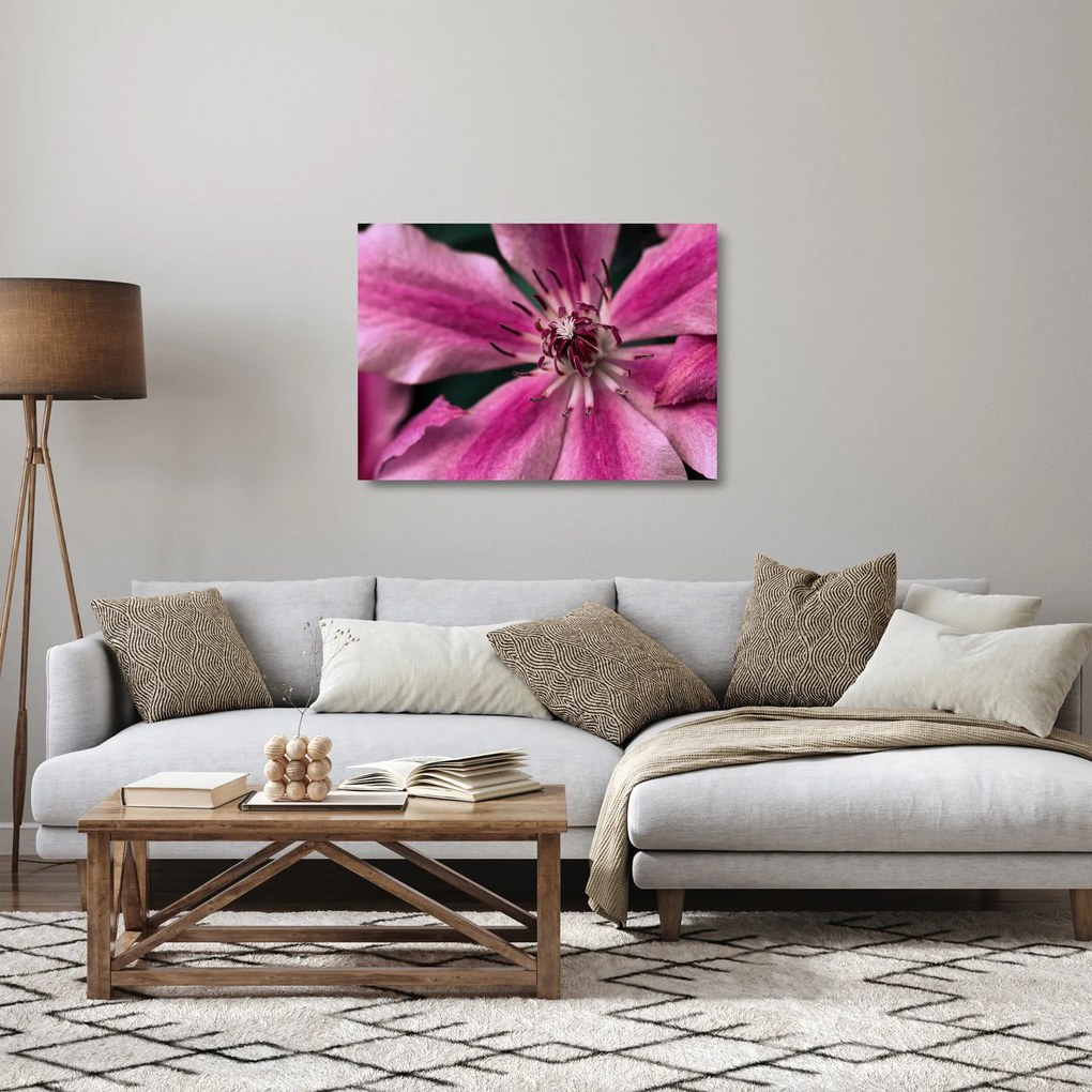 Sklenený obraz ružového kvetu plamienku (70x50 cm)