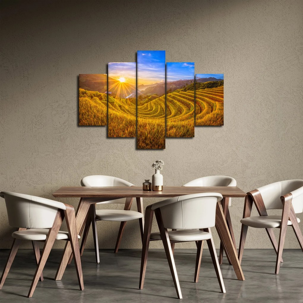 Obraz - Ryžové terasy vo Vietname (150x105 cm)