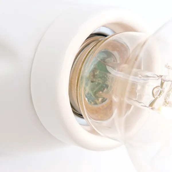 Orion - Nástenné svietidlo FROST 1xE27/60W/230V biele