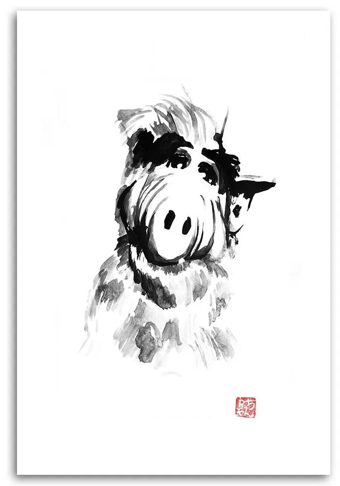 Gario Obraz na plátne Alf portrét - Péchane Rozmery: 40 x 60 cm