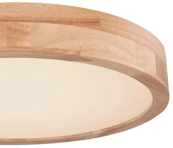 Globo 41745-24 - LED Stmievateľné stropné svietidlo RAINER LED/24W/230V + DO