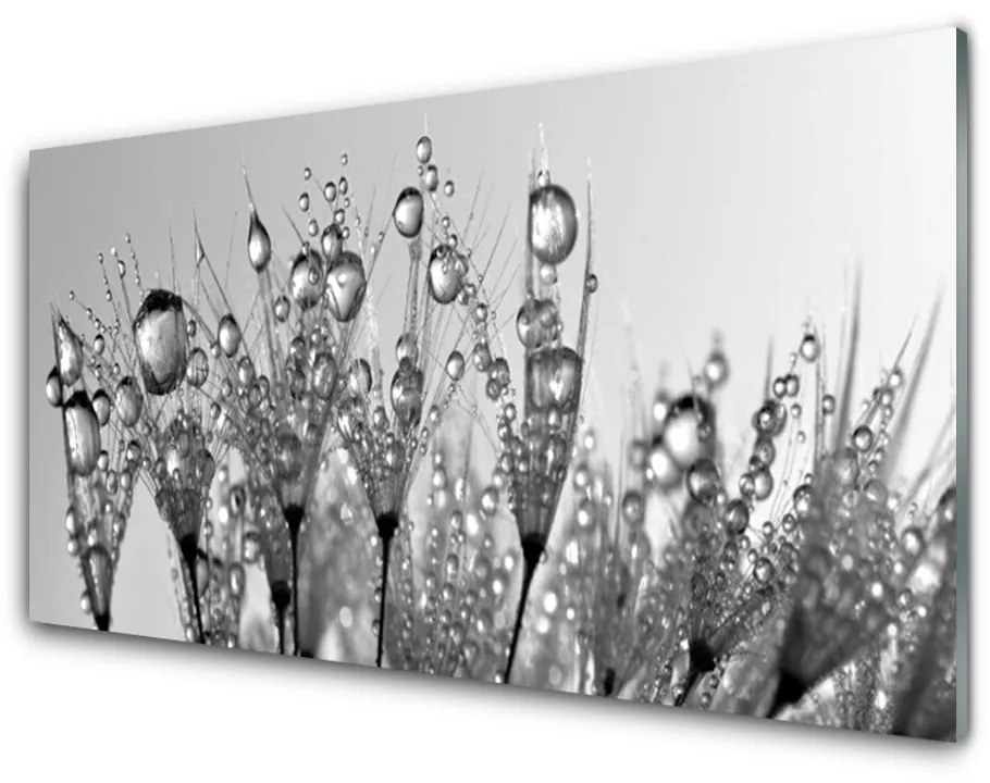 Skleneny obraz Abstrakcie rastlina príroda 120x60 cm