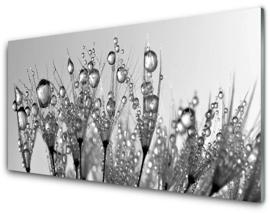 Skleneny obraz Abstrakcie rastlina príroda 125x50 cm