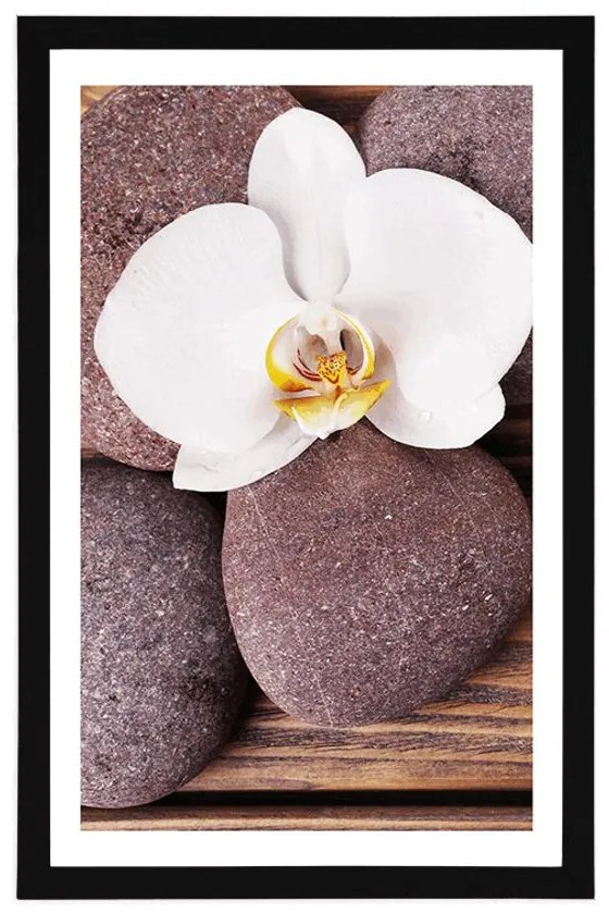 Plagát s paspartou wellness kamene a orchidea na drevenom pozadí - 30x45 silver