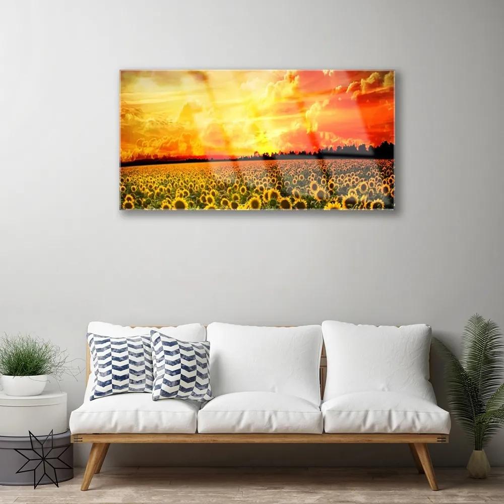 Skleneny obraz Lúka slnečnica kvety 140x70 cm