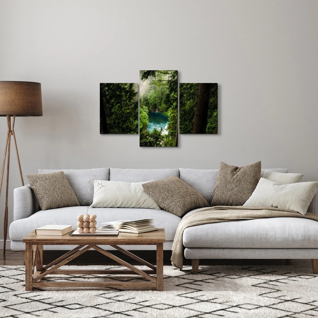 Obraz - Priezor medzi stromami (90x60 cm)