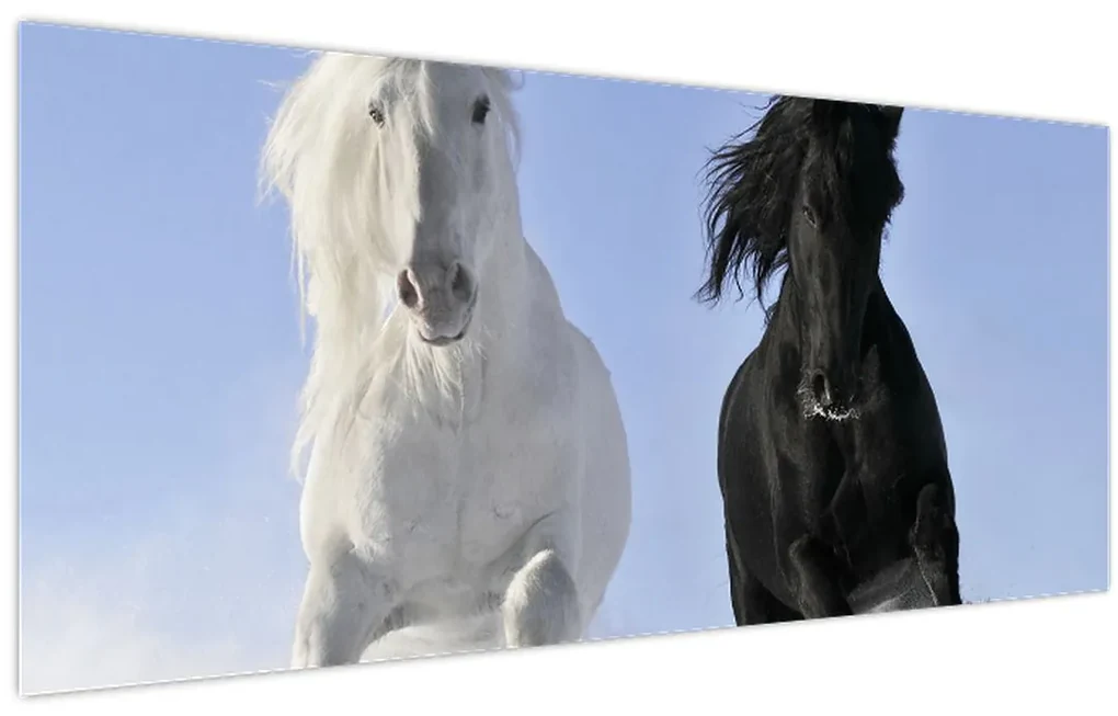 Obraz - Kone v zime (120x50 cm)