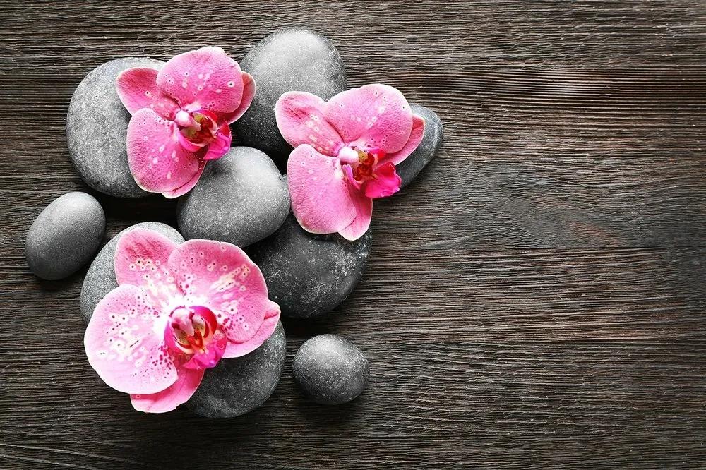 Samolepiaca fototapeta Zen kompozícia s orchideou - 375x250