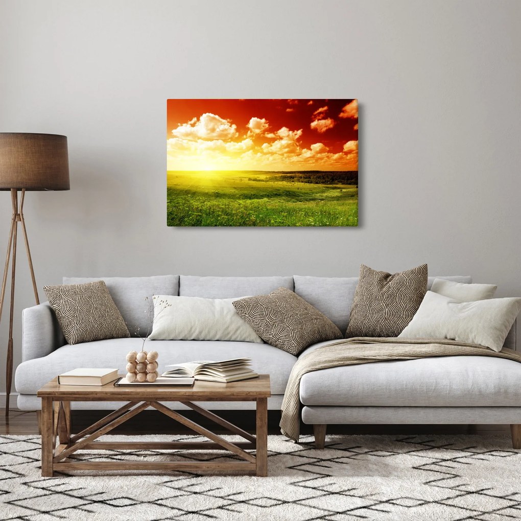 Obraz letnej lúky (90x60 cm)
