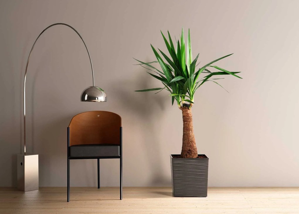 Květináč FLORE RIFLO 24,7x25,6 cm černý