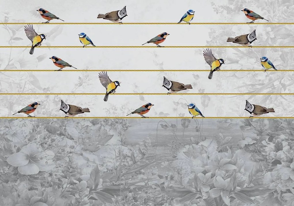 Fototapeta - Vtáky na zlatom povrázku (254x184 cm)