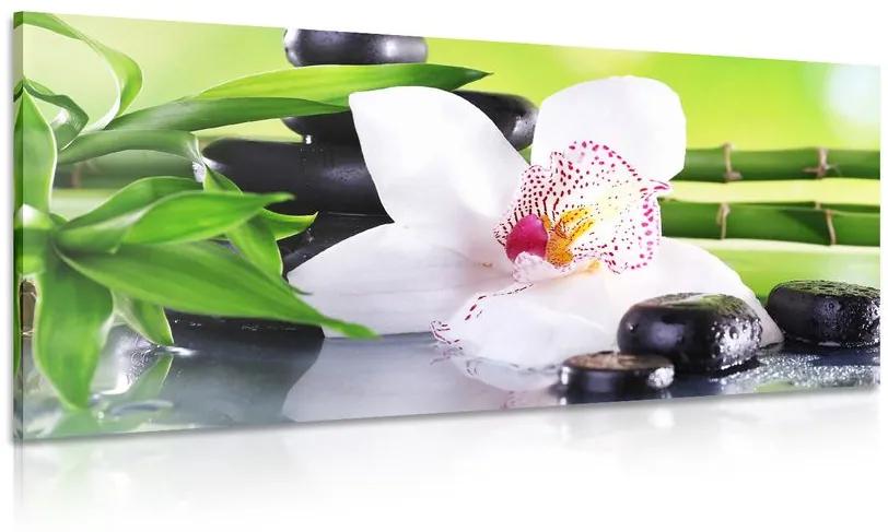 Obraz orchidea s japonskou tematikou Varianta: 100x50