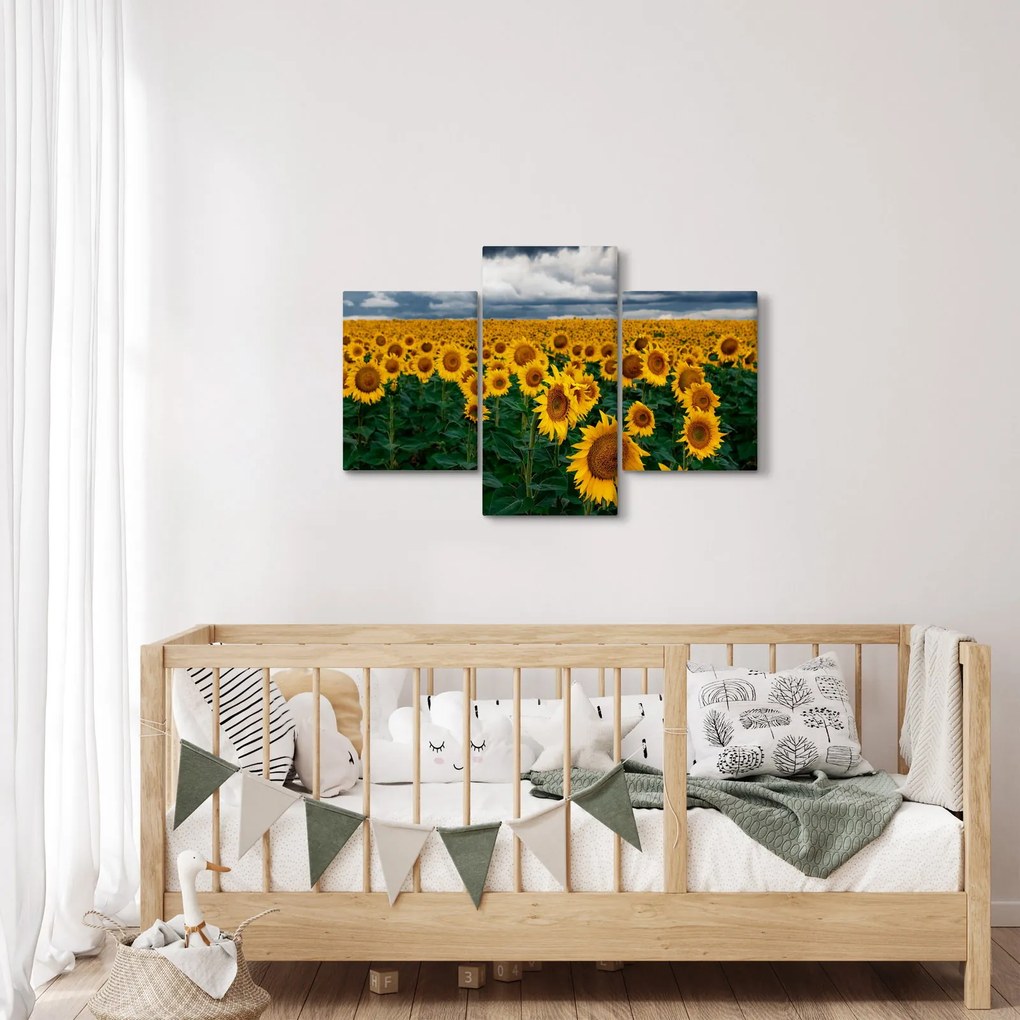 Obraz slnečnicového poľa (90x60 cm)