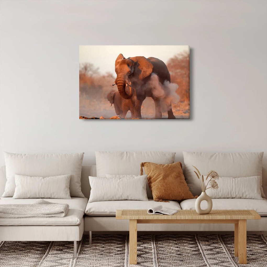 Obraz - Veľký slon africký (90x60 cm)