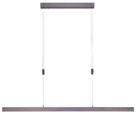 Paul Neuhaus 2568-24 - LED Stmievateľný luster na lanku ADRIANA LED/14W/230V