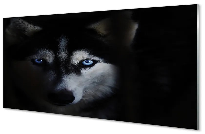 Sklenený obraz wolf Eyes 120x60 cm