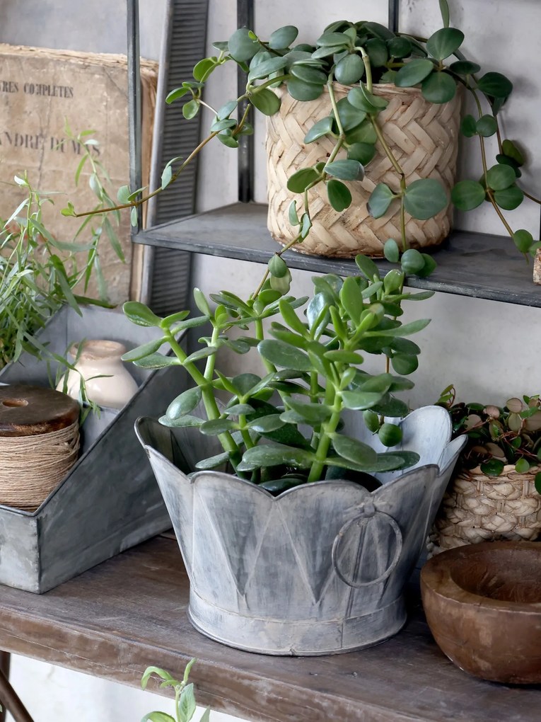 Dekoračný plechový antik kvetináč Arches - Ø 25*15cm