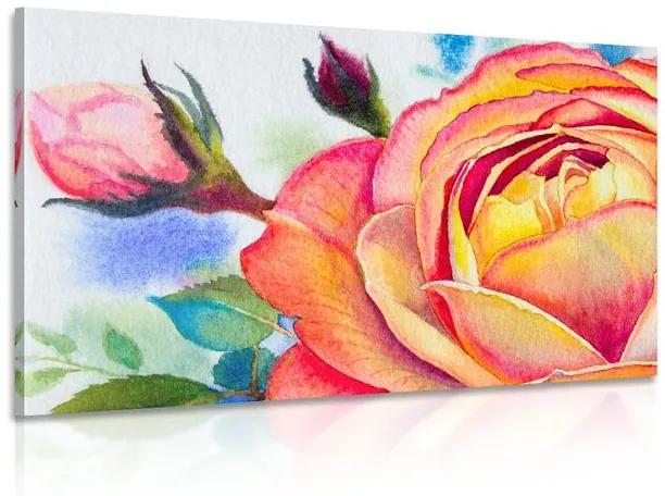 Obraz ruže v ružových odtieňoch