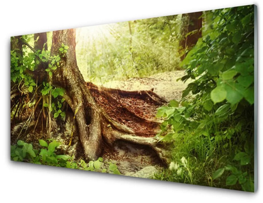 Sklenený obklad Do kuchyne Strom kmeň príroda les 120x60 cm