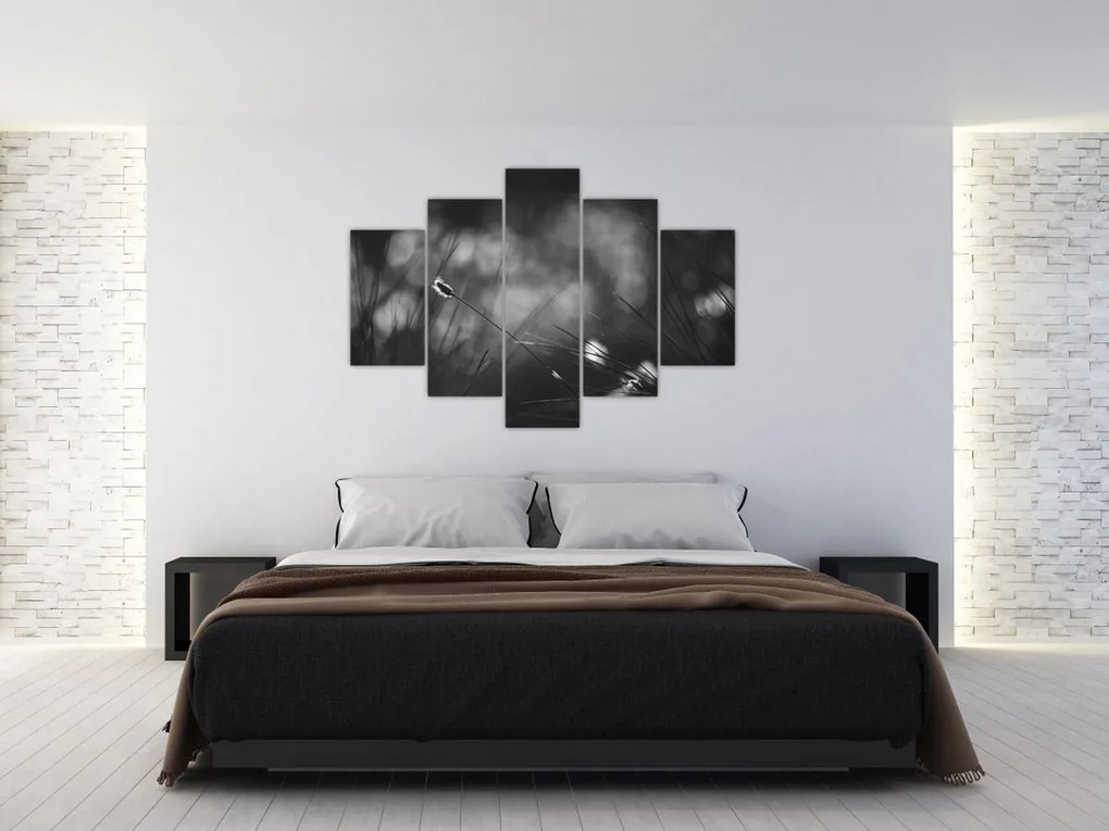 Obraz - Lúčna tráva (150x105 cm)