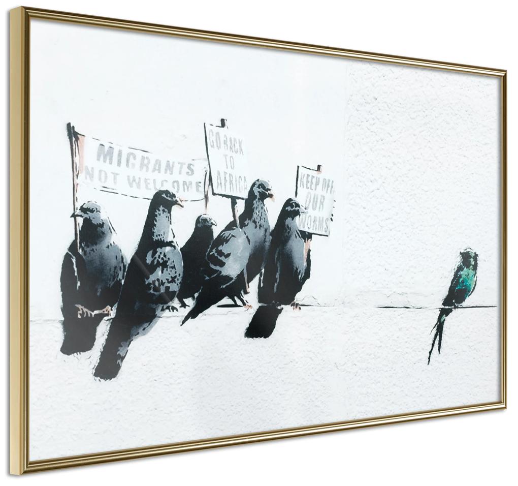 Artgeist Plagát - Xenophobic Pigeons [Poster] Veľkosť: 90x60, Verzia: Čierny rám s passe-partout
