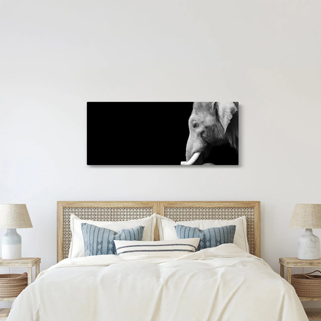Obraz - Slon (120x50 cm)