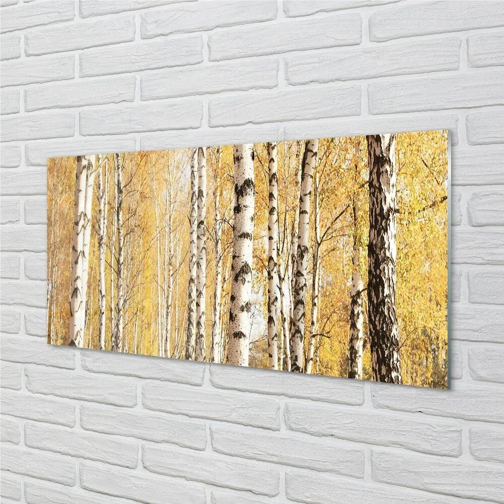 Sklenený obraz jesenné stromy 125x50 cm
