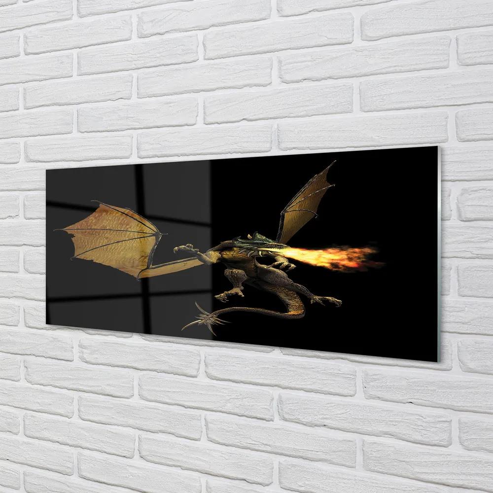 Obraz plexi Ohnivého draka 120x60 cm