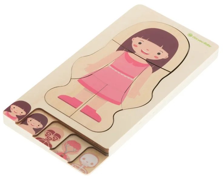 5957 DR Drevené puzzle - Ľudské telo Dievča