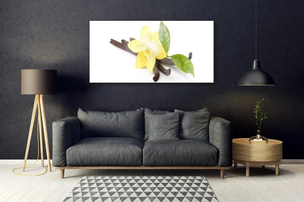 Obraz plexi Vanilka listy rastlina 120x60 cm