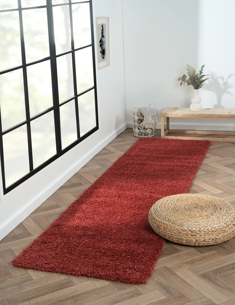 My Flair, Behúň My Shaggy weinrot, 80x300, červená, chodba / predsieň