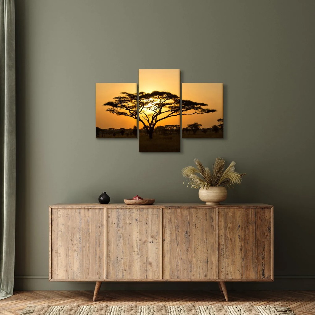 Obraz - Africká savana (90x60 cm)
